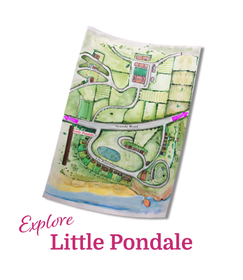 Explore Little Pondale